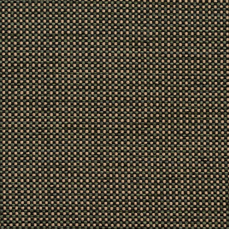 Charlotte - 4115 - Alpine - Fabric by the Yard Alpine