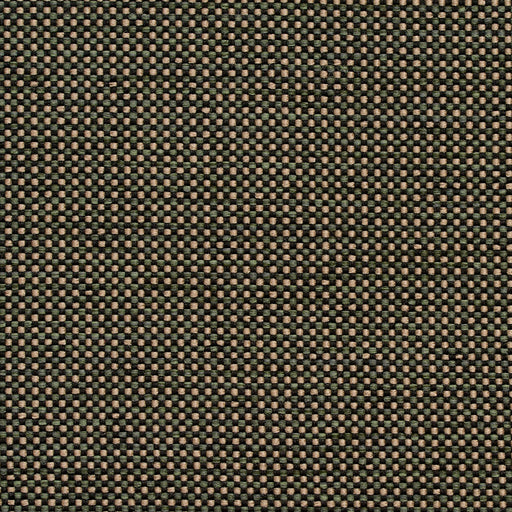 Charlotte - 4115 - Alpine - Fabric by the Yard Alpine