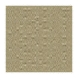 KRAVET BASICS - KRAVET BASICS- 4119-4 - Fabric by the Yard