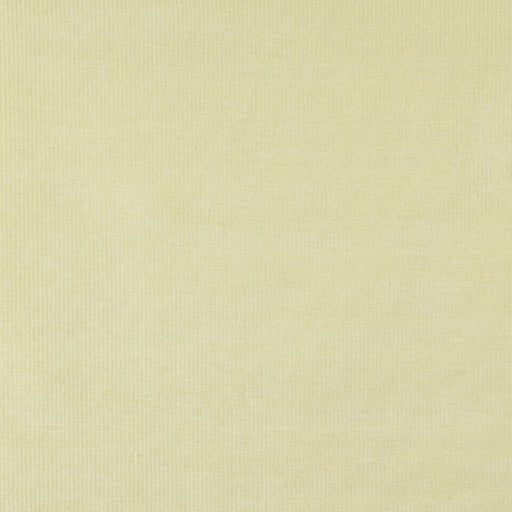 Charlotte - 4206 - Maize Stripe - Fabric by the Yard Maize Stripe
