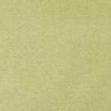 Charlotte - 4207 - Spring Stripe - Fabric by the Yard
