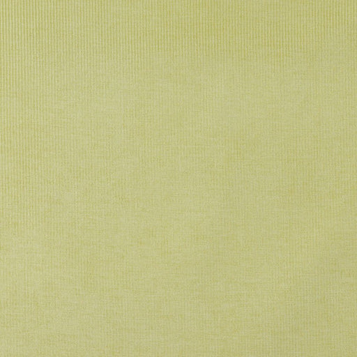 Charlotte - 4207 - Spring Stripe - Fabric by the Yard Spring Stripe
