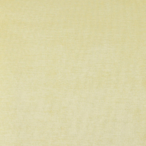 Charlotte - 4228 - Maize - Fabric by the Yard Maize
