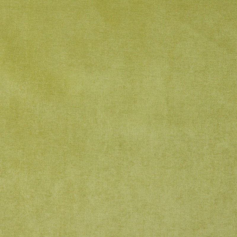 Charlotte - 4229 - Spring - Fabric by the Yard Spring