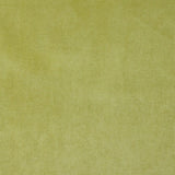 Charlotte - 4229 - Spring - Fabric by the Yard