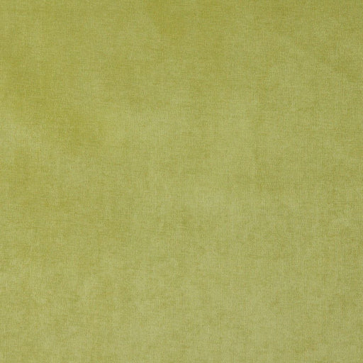 Charlotte - 4229 - Spring - Fabric by the Yard Spring