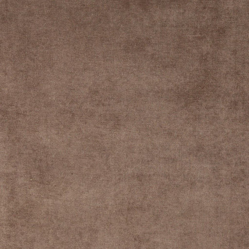 Charlotte - 4231 - Taupe - Fabric by the Yard Taupe