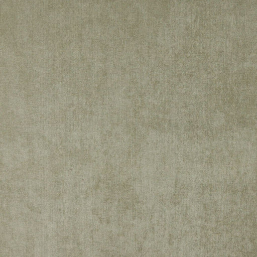 Charlotte - 4232 - Sage - Fabric by the Yard Sage