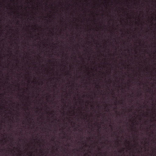 Charlotte - 4240 - Plum - Fabric by the Yard Plum