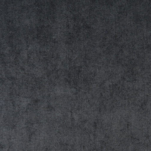 Charlotte - 4241 - Platinum - Fabric by the Yard Platinum