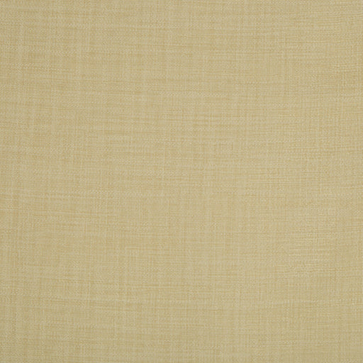 KRAVET BASICS - KRAVET BASICS- 4250-16 - Fabric by the Yard 4250-16