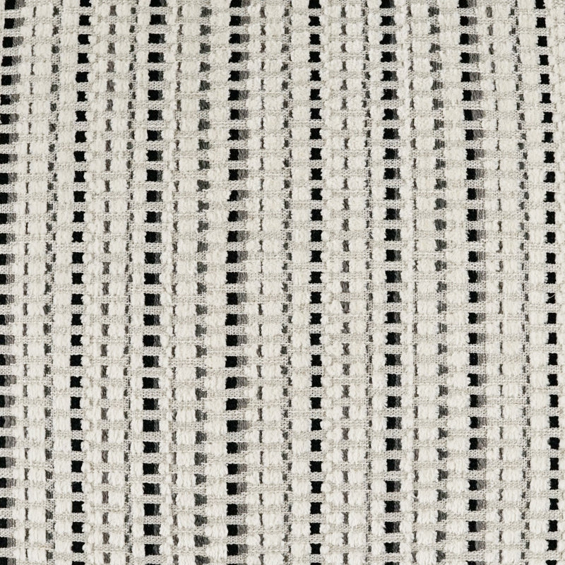 Intrigue - Piano - DV Kap - Fabric by the Yard