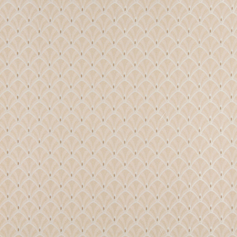 Charlotte - 4303 - Ecru Fan - Fabric by the Yard Ecru Fan