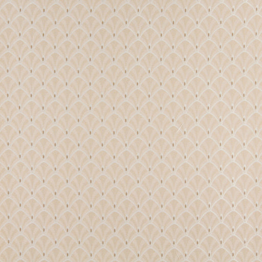 Charlotte - 4303 - Ecru Fan - Fabric by the Yard Ecru Fan