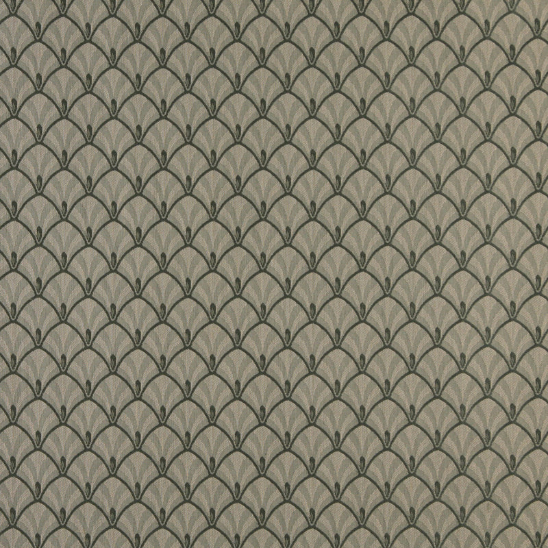 Charlotte - 4309 - Juniper Fan - Fabric by the Yard Juniper Fan