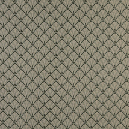 Charlotte - 4309 - Juniper Fan - Fabric by the Yard Juniper Fan