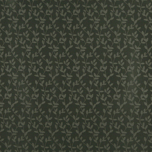 Charlotte - 4314 - Alpine Vine - Fabric by the Yard Alpine Vine