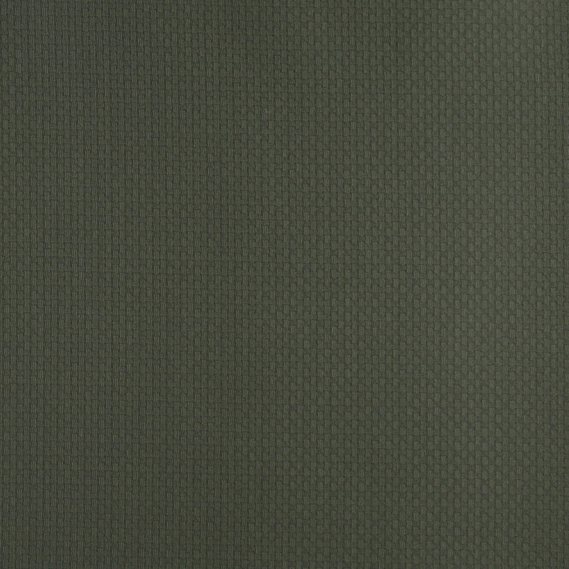 Charlotte - 4340 - Alpine - Fabric by the Yard Alpine