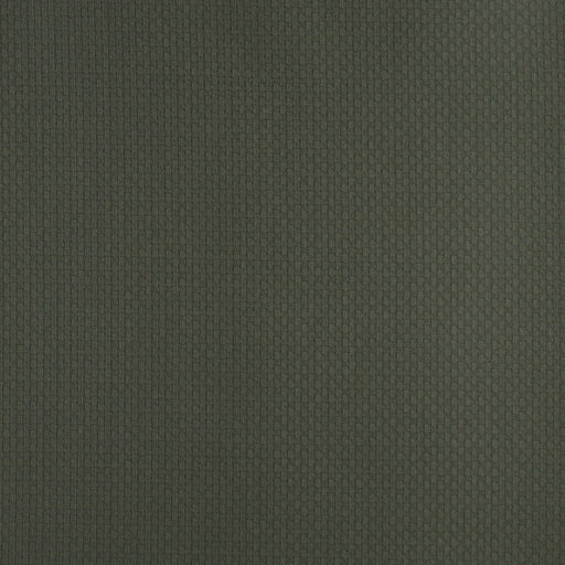 Charlotte - 4340 - Alpine - Fabric by the Yard Alpine
