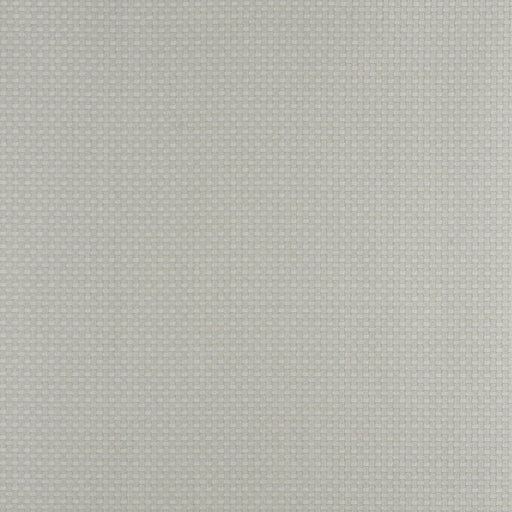 Charlotte - 4344 - Spring - Fabric by the Yard Spring