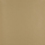 Charlotte - 4346 - Harvest - Fabric by the Yard