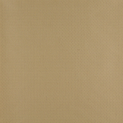 Charlotte - 4346 - Harvest - Fabric by the Yard Harvest