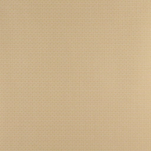 Charlotte - 4349 - Flax - Fabric by the Yard Flax