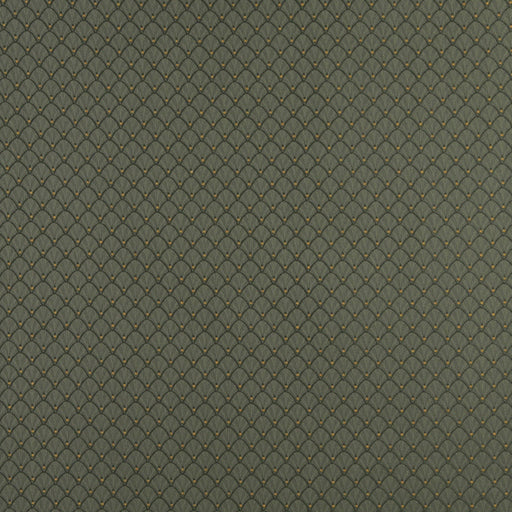 Charlotte - 4353 - Alpine Shell - Fabric by the Yard Alpine Shell