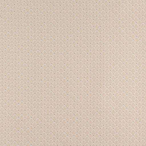 Charlotte - 4355 - Ecru Shell - Fabric by the Yard Ecru Shell