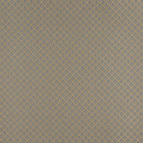 Charlotte - 4356 - Chambray Shell - Fabric by the Yard