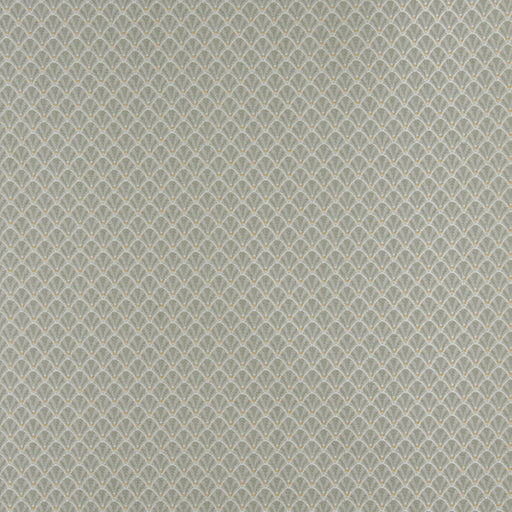Charlotte - 4357 - Spring Shell - Fabric by the Yard Spring Shell