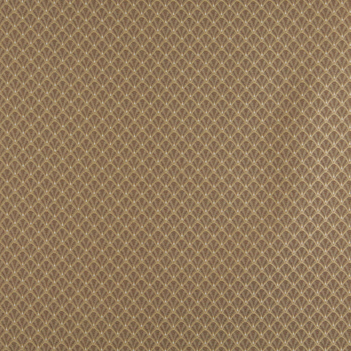 Charlotte - 4359 - Harvest Shell - Fabric by the Yard Harvest Shell