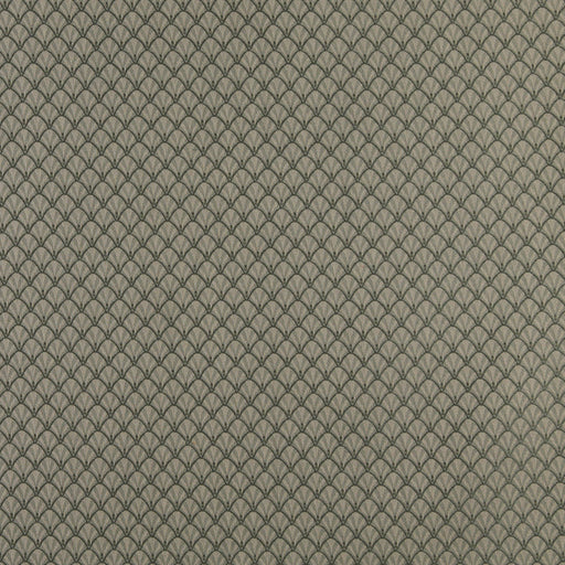 Charlotte - 4361 - Juniper Shell - Fabric by the Yard Juniper Shell