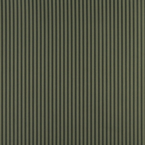 Charlotte - 4366 - Alpine Stripe - Fabric by the Yard Alpine Stripe