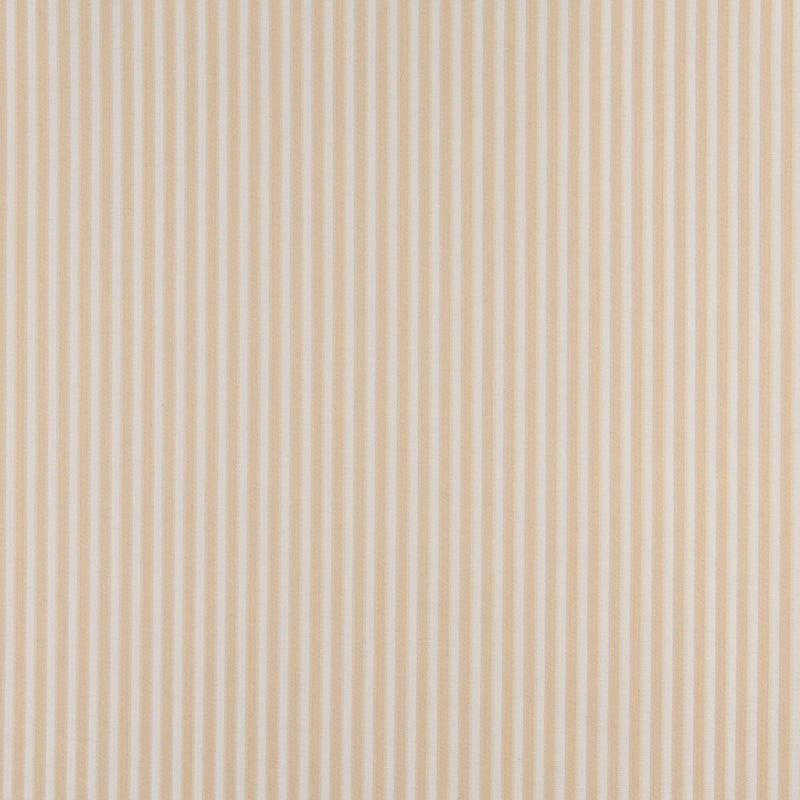 Charlotte - 4368 - Ecru Stripe - Fabric by the Yard Ecru Stripe