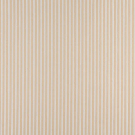 Charlotte - 4368 - Ecru Stripe - Fabric by the Yard Ecru Stripe
