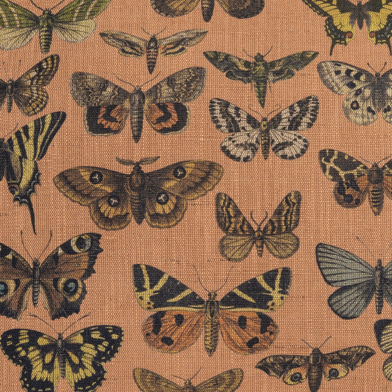 Volara - DV Kap - Fabric by the Yard