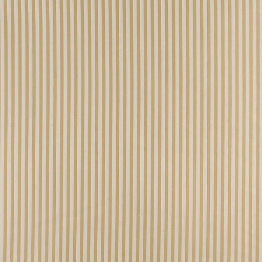 Charlotte - 4375 - Flax Stripe - Fabric by the Yard Flax Stripe