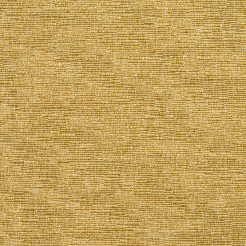 Charlotte - 4403 - Citrine - Fabric by the Yard Citrine