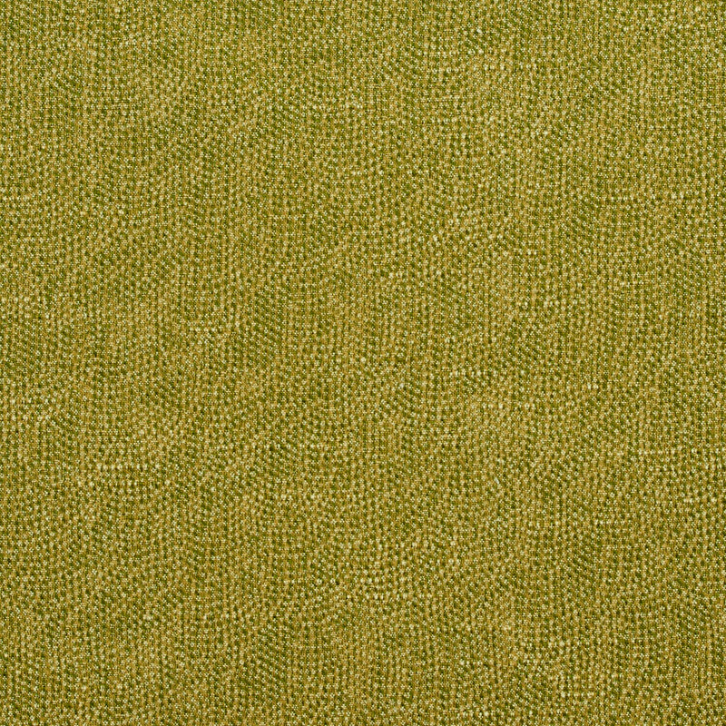Charlotte - 4447 - Fern - Fabric by the Yard Fern
