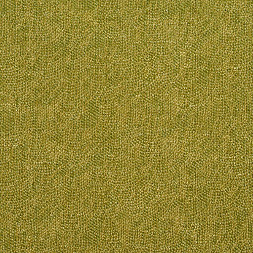 Charlotte - 4447 - Fern - Fabric by the Yard Fern