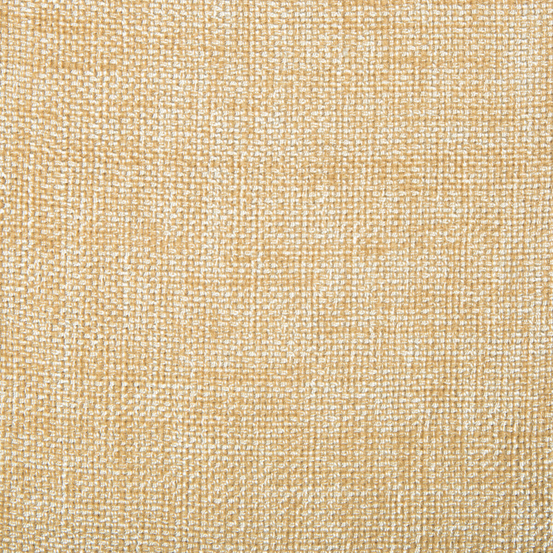 KRAVET CONTRACT - KRAVET CONTRACT- 4458-1116 - Fabric by the Yard 4458-1116