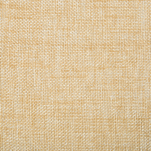 KRAVET CONTRACT - KRAVET CONTRACT- 4458-1116 - Fabric by the Yard 4458-1116