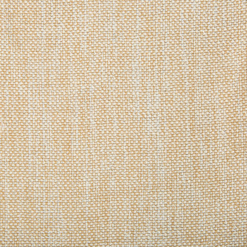 KRAVET CONTRACT - KRAVET CONTRACT- 4458-1601 - Fabric by the Yard 4458-1601