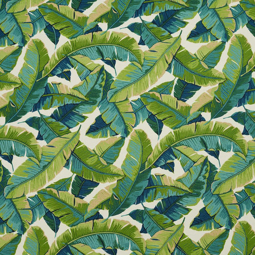 Charlotte - 4635 - Belize - Fabric by the Yard Belize