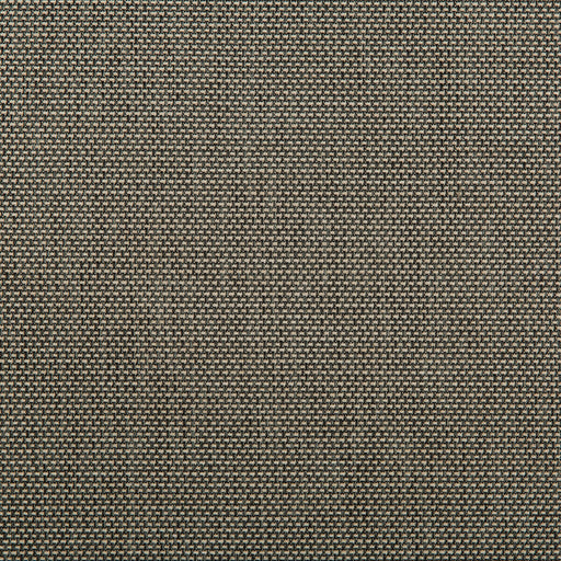 KRAVET CONTRACT - KRAVET CONTRACT- 4645-1621 - Fabric by the Yard 4645-1621