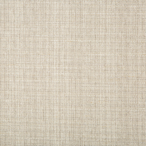 KRAVET BASICS - KRAVET BASICS- 4665-11 - Fabric by the Yard 4665-11