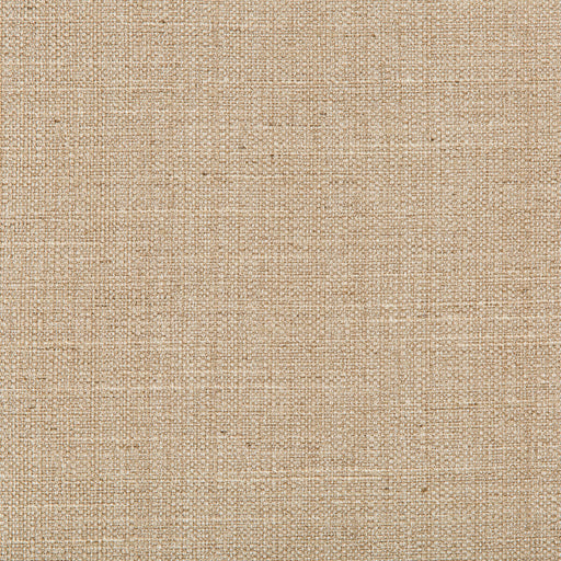 KRAVET BASICS - KRAVET BASICS- 4665-16 - Fabric by the Yard 4665-16