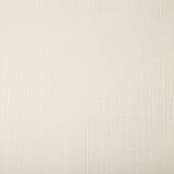 KRAVET BASICS - KRAVET BASICS- 4669-1 - Fabric by the Yard