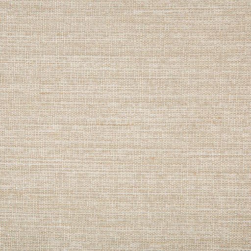 KRAVET BASICS - KRAVET BASICS- 4673-16 - Fabric by the Yard 4673-16